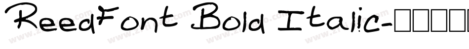ReedFont Bold Italic字体转换
